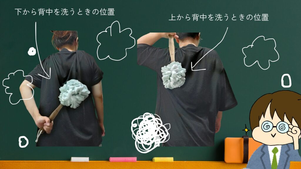 泡立てネットブラシを実際に使うと、背中のどの辺りまで来るのか実演